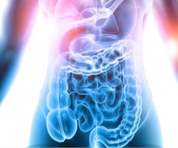 Ayurvedic treatment for gastrointestinal disorders